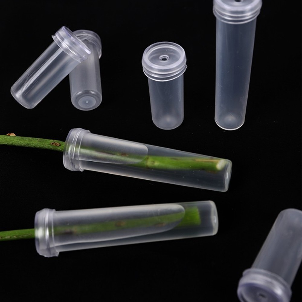 Fiale di Acqua Floreale a Lung - Florist Supply Wholesale recensione e prezzo